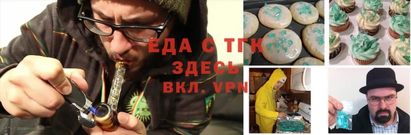 индика Богданович