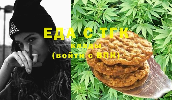индика Богданович