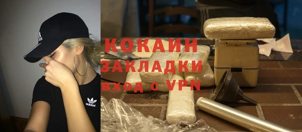 гидра Бронницы