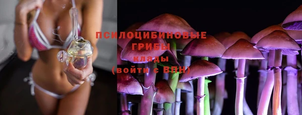 эйфоретик Богородск