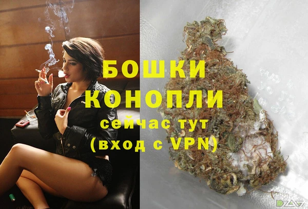 гидра Бронницы