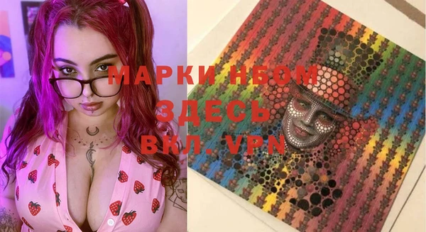 индика Богданович