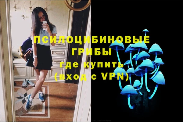 индика Богданович