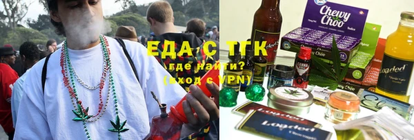 индика Богданович