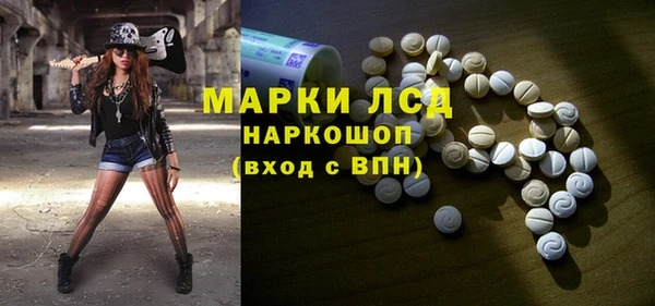 индика Богданович