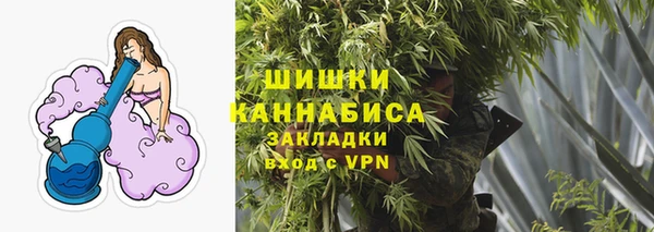 гидра Бронницы
