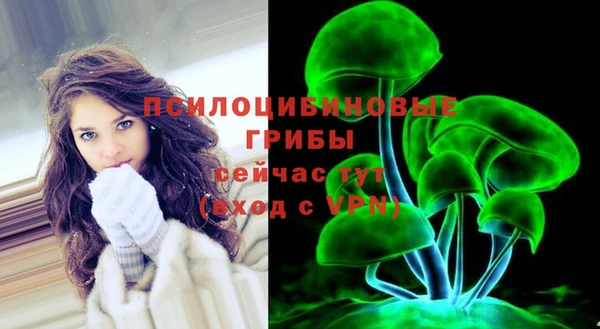 индика Богданович