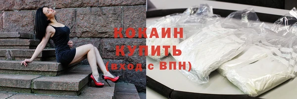 дурь Бородино