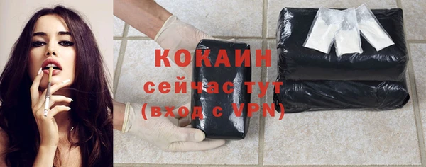 дурь Бородино