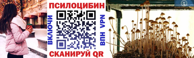 Галлюциногенные грибы Magic Shrooms  Купить  Няндома 